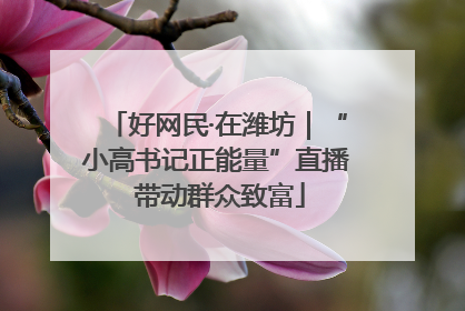 好网民·在潍坊｜“小高书记正能量”直播 带动群众致富