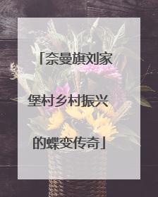 奈曼旗刘家堡村乡村振兴的蝶变传奇