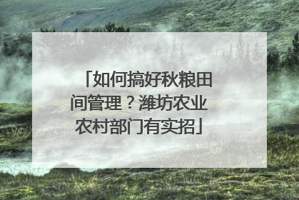 如何搞好秋粮田间管理？潍坊农业农村部门有实招