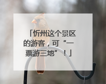 忻州这个景区的游客，可“一票游三地”！