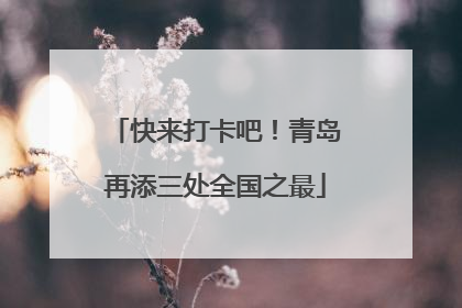 快来打卡吧！青岛再添三处全国之最