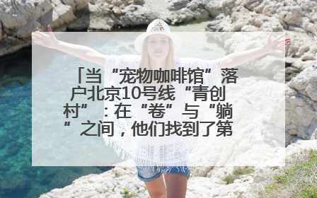 当“宠物咖啡馆”落户北京10号线“青创村”：在“卷”与“躺”之间，他们找到了第三种生活公式