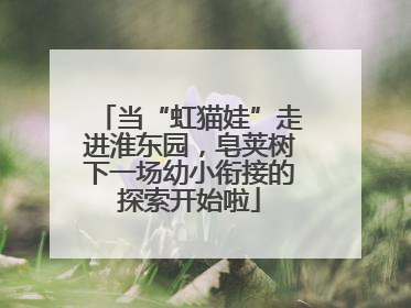 当“虹猫娃”走进淮东园，皂荚树下一场幼小衔接的探索开始啦
