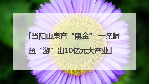 当阳山泉育“黑金” 一条鲟鱼“游”出10亿元大产业