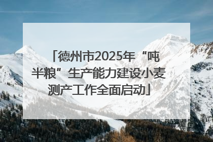 德州市2025年“吨半粮”生产能力建设小麦测产工作全面启动