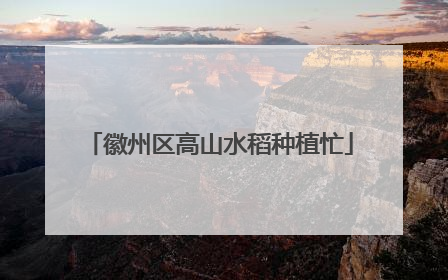 徽州区高山水稻种植忙