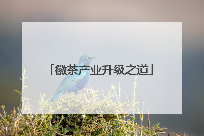 徽茶产业升级之道