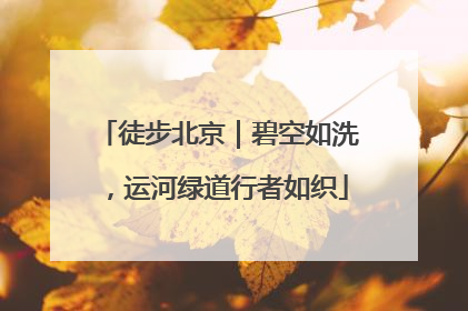 徒步北京｜碧空如洗，运河绿道行者如织