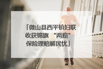 微山县西平镇妇联收获锦旗 “两癌”保险理赔解民忧