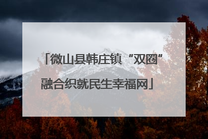 微山县韩庄镇“双圈”融合织就民生幸福网