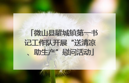 微山县驩城镇第一书记工作队开展“送清凉、助生产”慰问活动