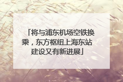 将与浦东机场空铁换乘，东方枢纽上海东站建设又有新进展