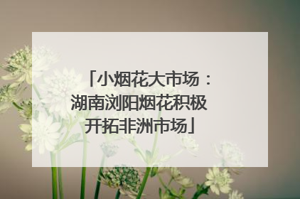 小烟花大市场：湖南浏阳烟花积极开拓非洲市场