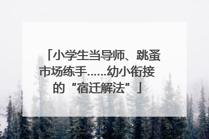 小学生当导师、跳蚤市场练手……幼小衔接的“宿迁解法”