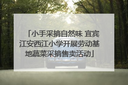 小手采摘自然味 宜宾江安西江小学开展劳动基地蔬菜采摘售卖活动