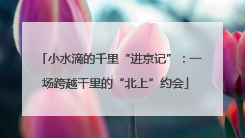 小水滴的千里“进京记”：一场跨越千里的“北上”约会