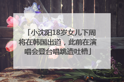 小沈阳18岁女儿下周将在韩国出道，此前在演唱会登台唱跳遭吐槽