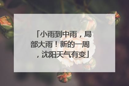 小雨到中雨,局部大雨!新的一周,沈阳天气有变