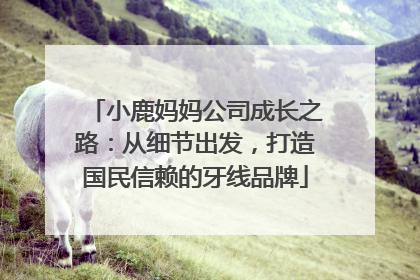 小鹿妈妈公司成长之路：从细节出发，打造国民信赖的牙线品牌