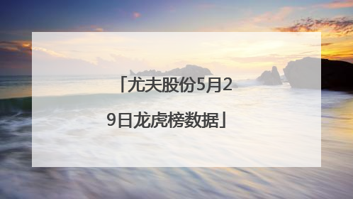 尤夫股份5月29日龙虎榜数据