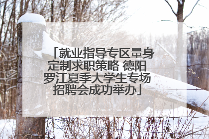 就业指导专区量身定制求职策略 德阳罗江夏季大学生专场招聘会成功举办