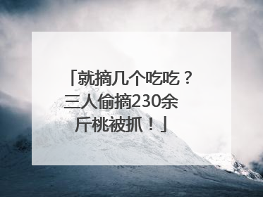 就摘几个吃吃？三人偷摘230余斤桃被抓！