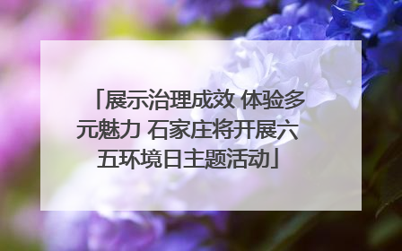展示治理成效 体验多元魅力 石家庄将开展六五环境日主题活动