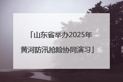 山东省举办2025年黄河防汛抢险协同演习