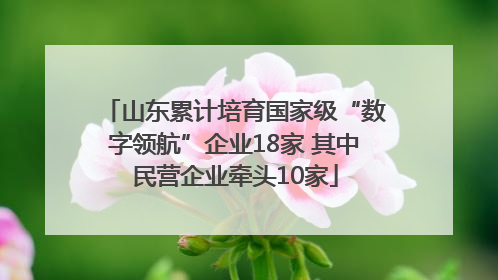 山东累计培育国家级“数字领航”企业18家 其中民营企业牵头10家
