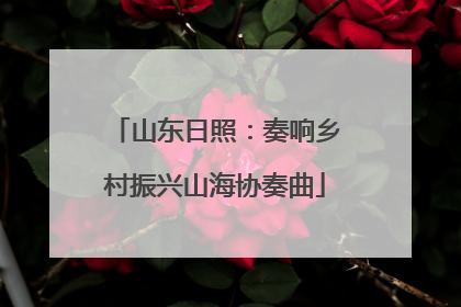 山东日照：奏响乡村振兴山海协奏曲
