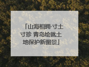 山海相拥·寸土寸珍 青岛绘就土地保护新图景