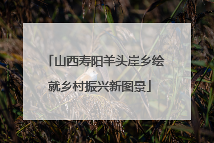 山西寿阳羊头崖乡绘就乡村振兴新图景
