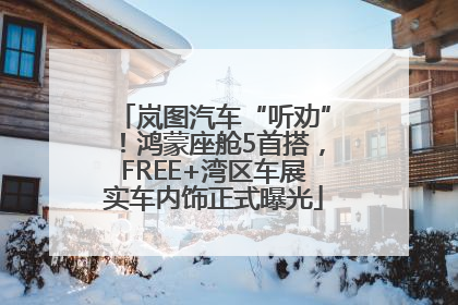 岚图汽车“听劝”！鸿蒙座舱5首搭，FREE+湾区车展实车内饰正式曝光
