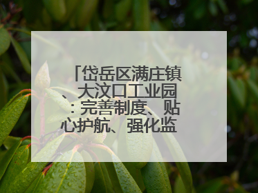 岱岳区满庄镇、大汶口工业园：完善制度、贴心护航、强化监管，打造优质营商“强磁场”