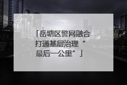 岳塘区警网融合 打通基层治理“最后一公里”