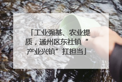 工业强基、农业提质，通州区东社镇“产业兴镇”扛担当