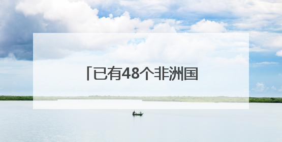 已有48个非洲国家报名参会第四届中非经贸博览会