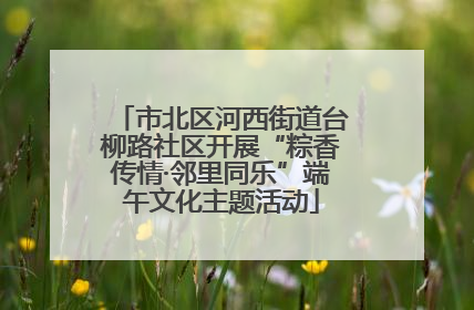 市北区河西街道台柳路社区开展“粽香传情·邻里同乐”端午文化主题活动