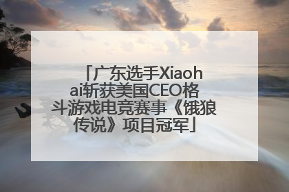广东选手Xiaohai斩获美国CEO格斗游戏电竞赛事《饿狼传说》项目冠军