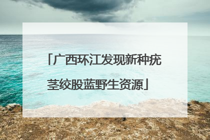 广西环江发现新种疣茎绞股蓝野生资源