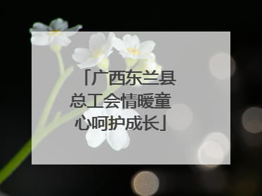 广西东兰县总工会情暖童心呵护成长