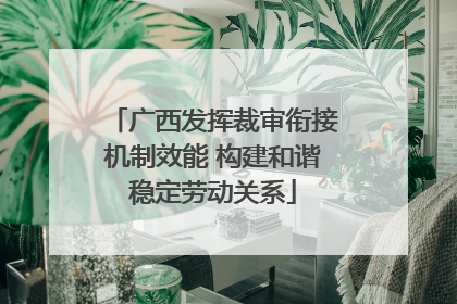 广西发挥裁审衔接机制效能 构建和谐稳定劳动关系