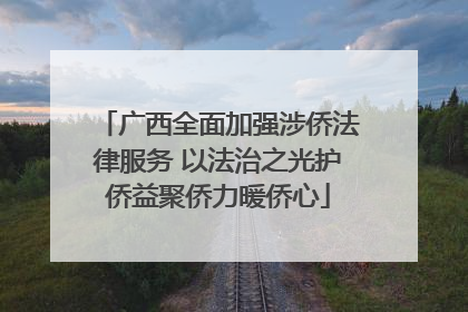 广西全面加强涉侨法律服务 以法治之光护侨益聚侨力暖侨心