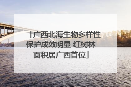 广西北海生物多样性保护成效明显 红树林面积居广西首位