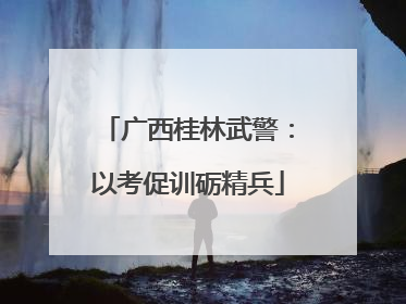 广西桂林武警：以考促训砺精兵