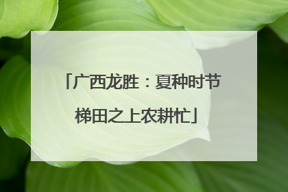 广西龙胜：夏种时节 梯田之上农耕忙