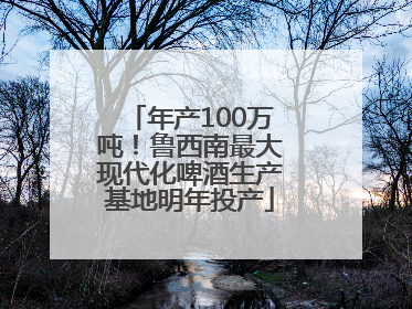 年产100万吨！鲁西南最大现代化啤酒生产基地明年投产