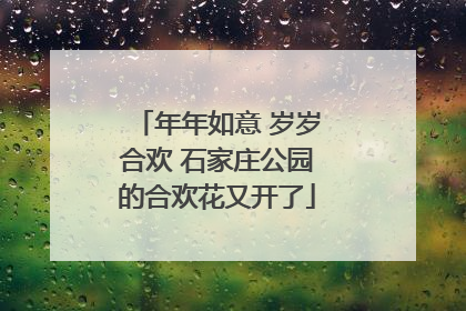 年年如意 岁岁合欢 石家庄公园的合欢花又开了