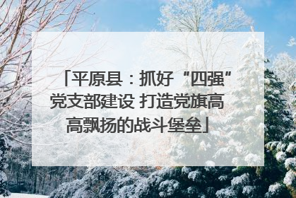 平原县：抓好“四强”党支部建设 打造党旗高高飘扬的战斗堡垒