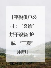 平舆供电公司：“义诊”烘干设备 护航 “三夏” 用电